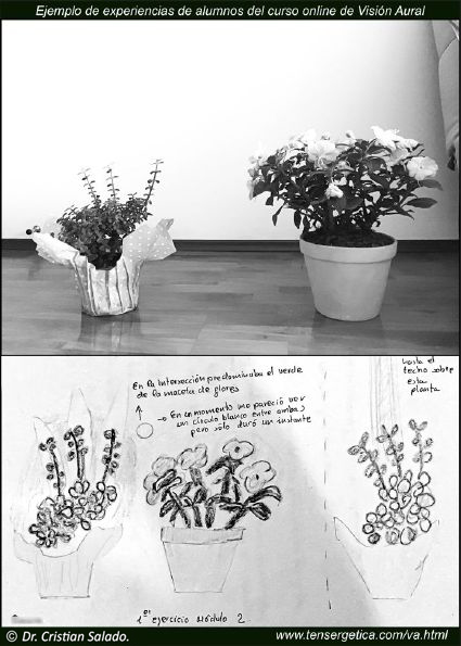 Experiencias con las Plantas.