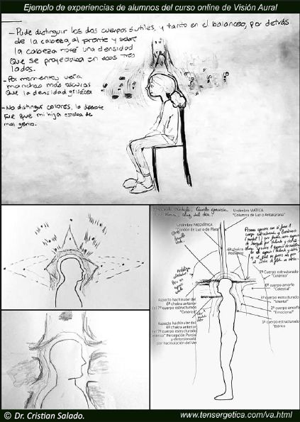 Cuerpos Aurales y Chakras.