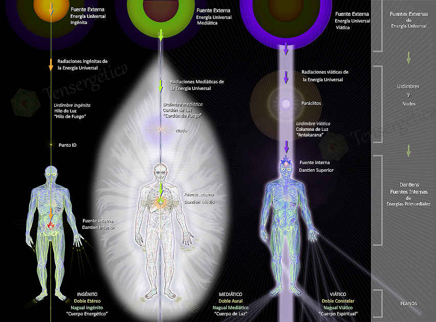 Para el Terapeuta Energetico, Ver los cuerpos sutiles y sentir en las manos o al Hibiki 氣 activo, alcanzada la segunda atención, es el principal indicador del despertar de su atención de ensueño y acecho