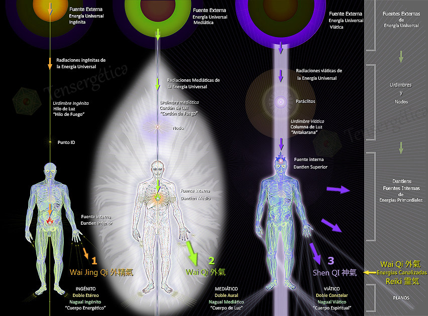 Para el Terapeuta Energetico, Ver los cuerpos sutiles y sentir en las manos o al Hibiki 氣 activo, alcanzada la segunda atención, es el principal indicador del despertar de su atención de ensueño y acecho