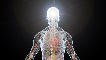 Un Terapeuta Energético, interviene promoviendo la reactivación de las capacidades de adaptación, regularización y equilibrado de las funciones vitales, energéticas y psíquicas