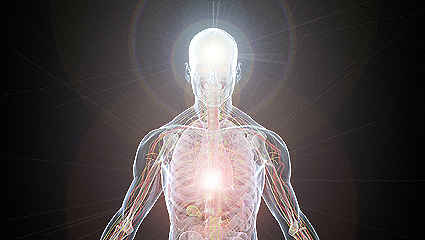 La intervención del terapeuta más facultado y con mayor integralidad energética, es dominante sobre el grupo