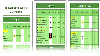 Los chinos plantean que Lingqi (靈氣) es un arte tan amplio, diverso y complejo, o incluso más difícil de dominar que el Reiki (霊気)