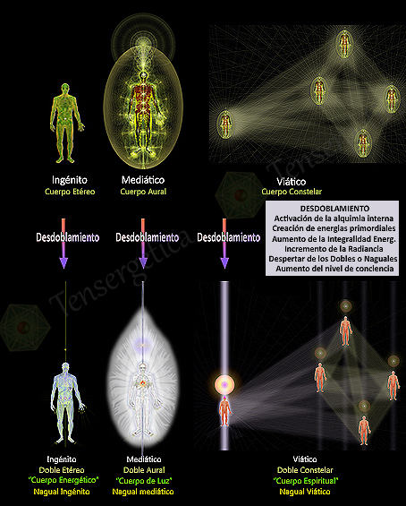 Los tres planos primordiales: ingénitos, mediáticos y viáticos.
