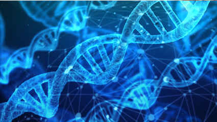 Un Terapeuta Energético o un Sanador,debe estar facultado para influir sobre los estados y procesos vitales, reparar tejidos dañados, modificando el crecimiento celular a voluntad e igualmente debe estar capacitado, por necesidad, para revertir el progreso de la enfermedad